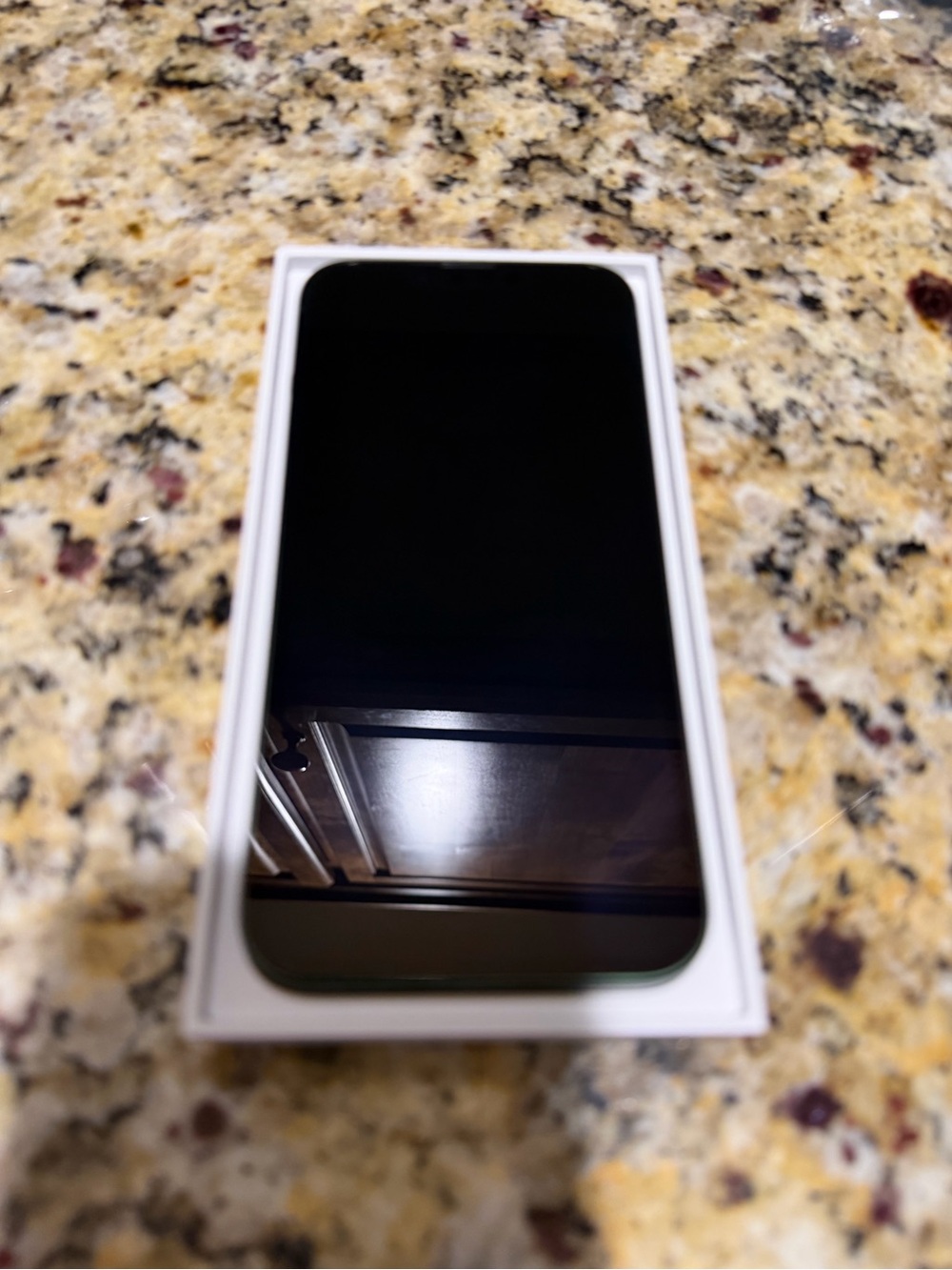 Apple iPhone 13 dark green
